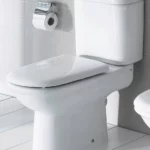 Roca Giralda White Toilet Seat
