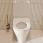 Saneux Prague Slimline Soft Close Toilet Seat PR098